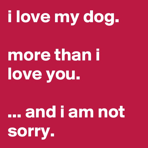 i love my dog.

more than i love you.

... and i am not sorry.