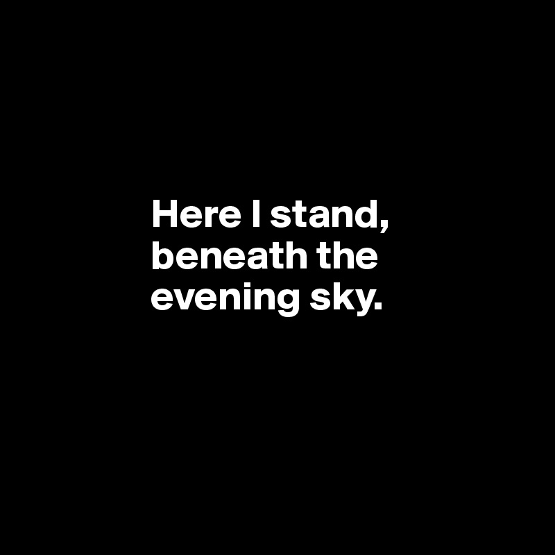 



               Here I stand, 
               beneath the 
               evening sky.




