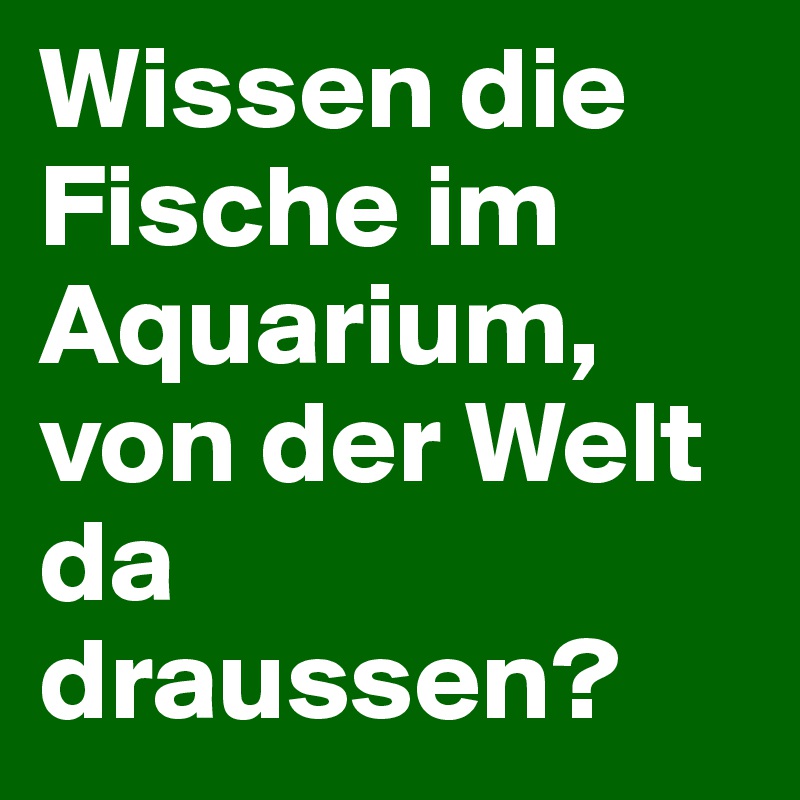 Wissen die Fische im Aquarium, von der Welt da draussen?