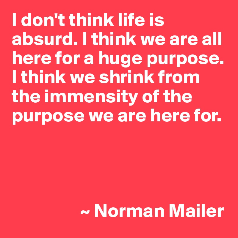 I don't think life is absurd. I think we are all here for a huge purpose. I think we shrink from the immensity of the purpose we are here for.




                  ~ Norman Mailer