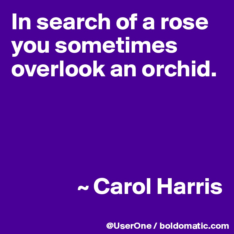 In search of a rose you sometimes overlook an orchid.




              ~ Carol Harris