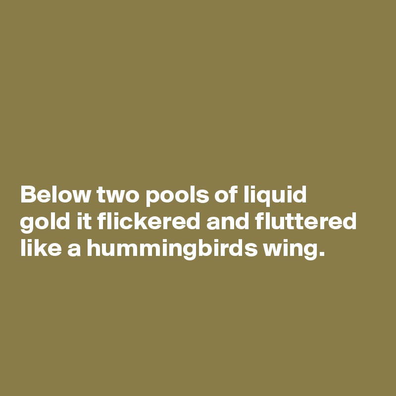 





Below two pools of liquid gold it flickered and fluttered like a hummingbirds wing.


