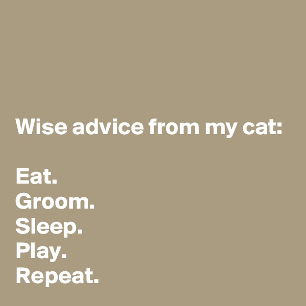 



Wise advice from my cat:

Eat.
Groom.
Sleep.
Play.
Repeat.