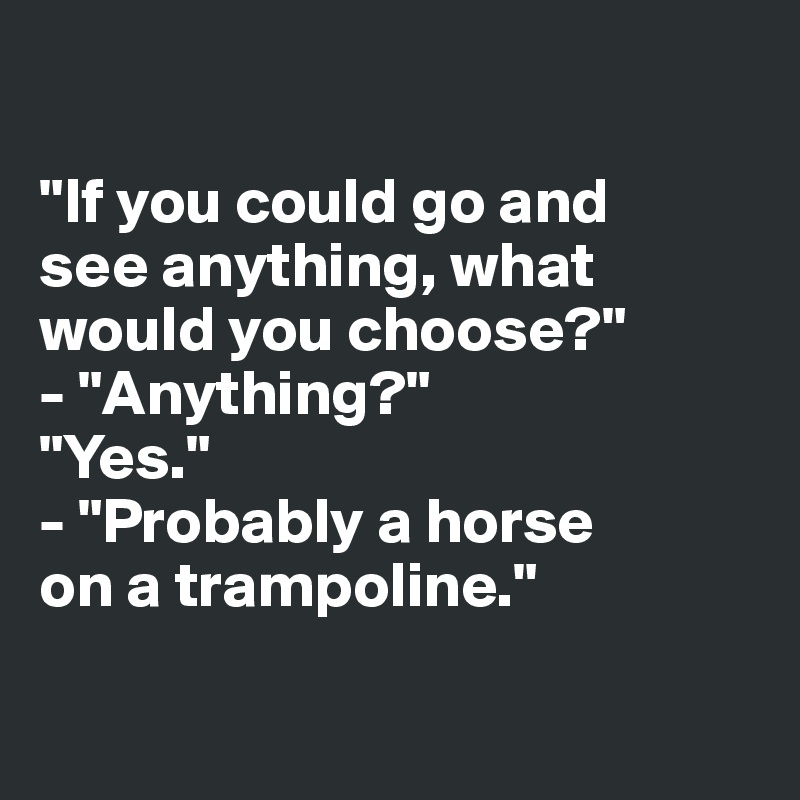 

"If you could go and 
see anything, what 
would you choose?"
- "Anything?"
"Yes."
- "Probably a horse 
on a trampoline."

