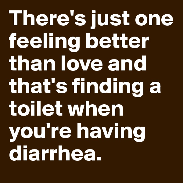 There's just one feeling better than love and that's finding a toilet when you're having diarrhea.