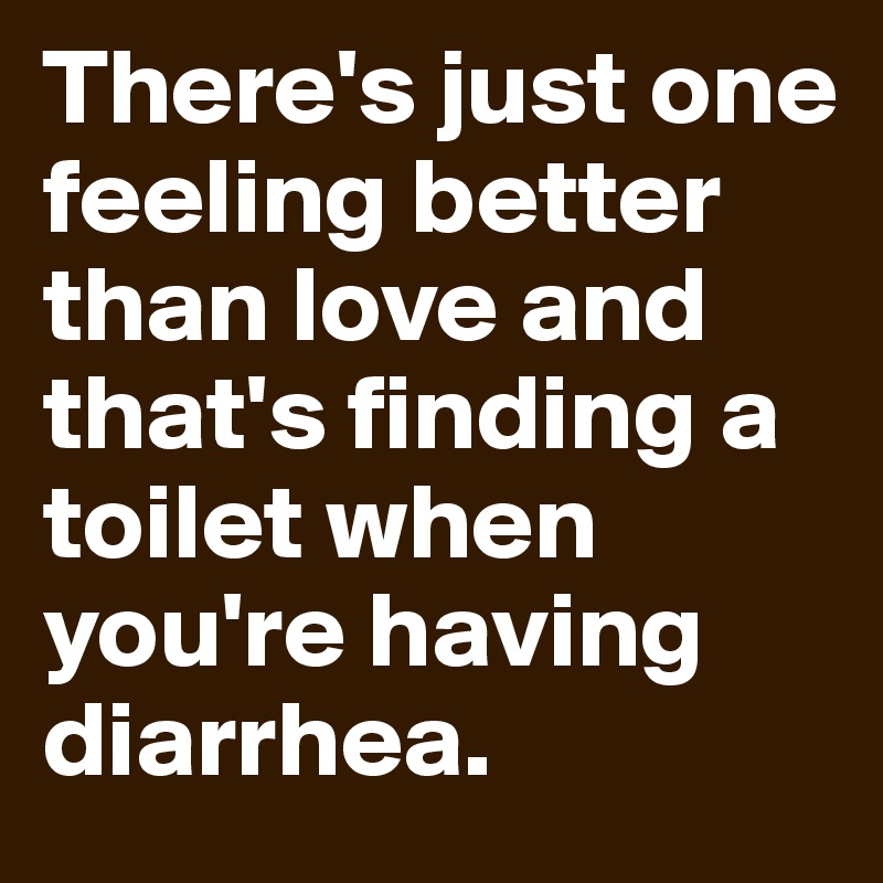 There's just one feeling better than love and that's finding a toilet when you're having diarrhea.