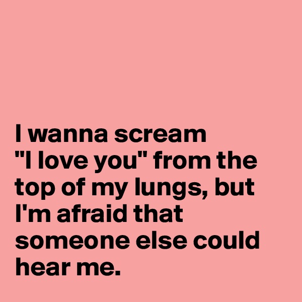 



I wanna scream 
"I love you" from the top of my lungs, but I'm afraid that someone else could hear me. 