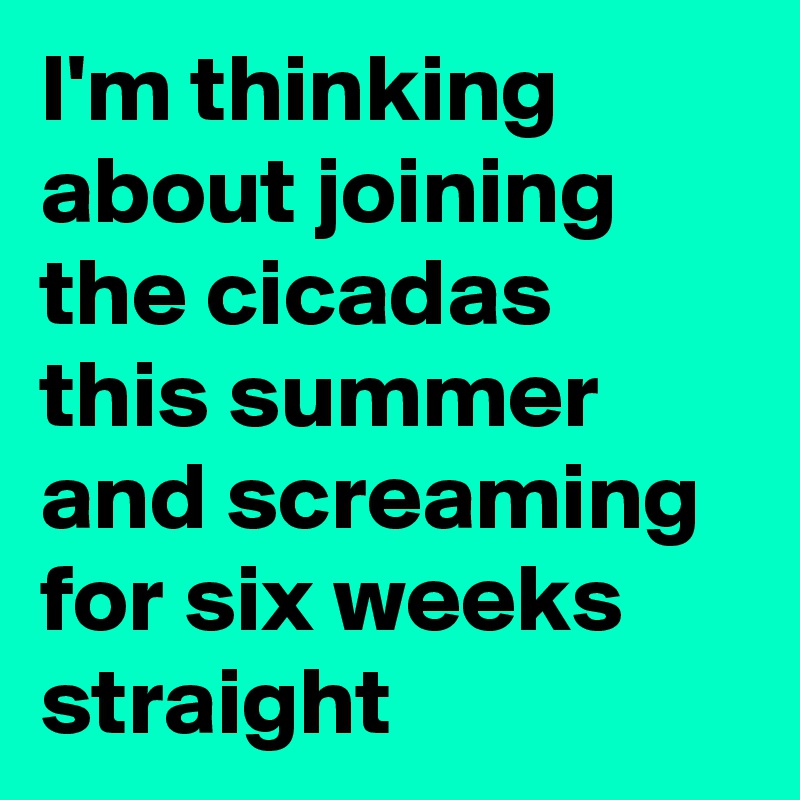 I'm thinking about joining the cicadas this summer and screaming for six weeks straight