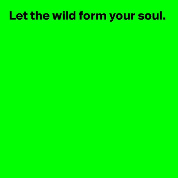 Let the wild form your soul.









