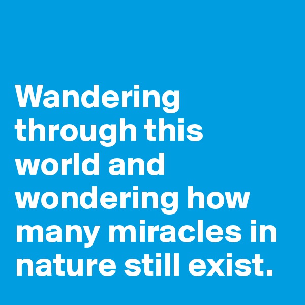 

Wandering through this world and wondering how many miracles in nature still exist. 