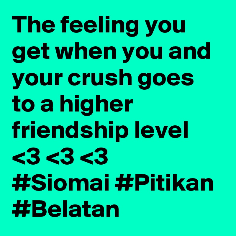 The feeling you get when you and your crush goes to a higher friendship level <3 <3 <3
#Siomai #Pitikan #Belatan 