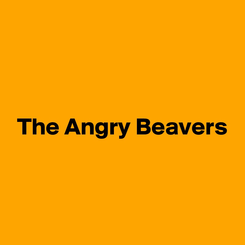 



 The Angry Beavers


