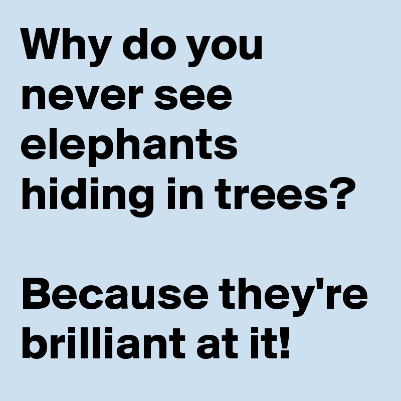 Why do you never see elephants hiding in trees?

Because they're brilliant at it! 