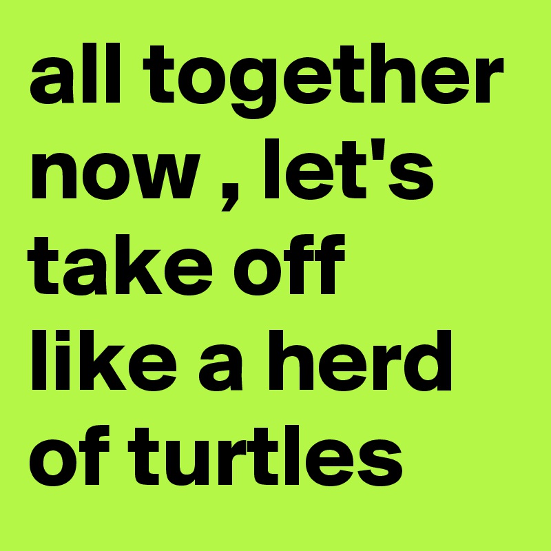 all together now , let's take off like a herd of turtles