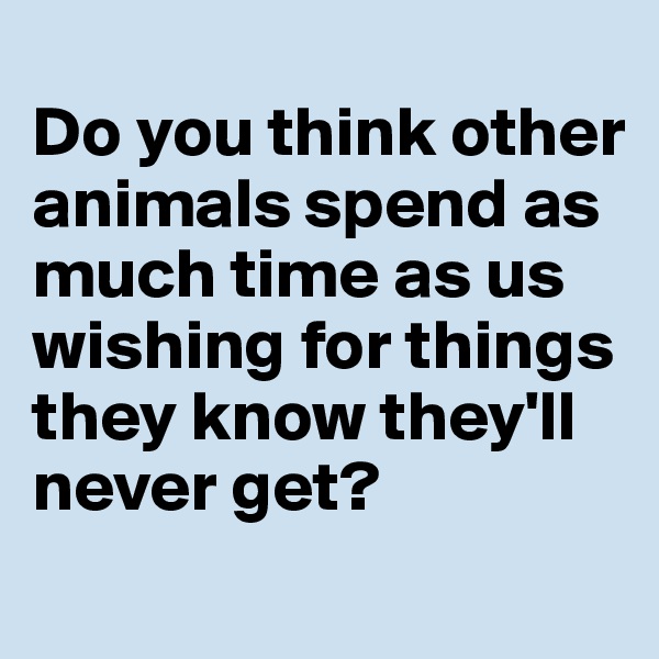 
Do you think other animals spend as much time as us wishing for things they know they'll never get?
