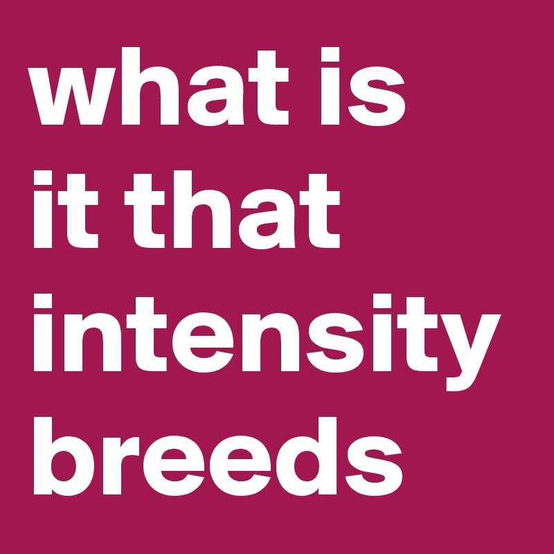 what is it that intensity breeds