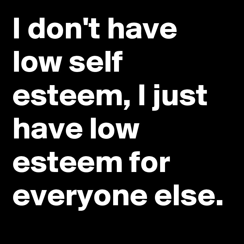 I don't have low self esteem, I just have low esteem for everyone else.