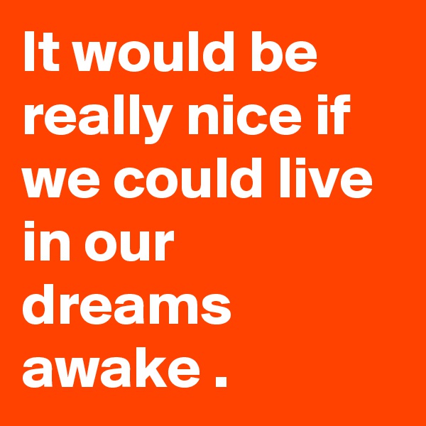 It would be really nice if we could live in our dreams awake .