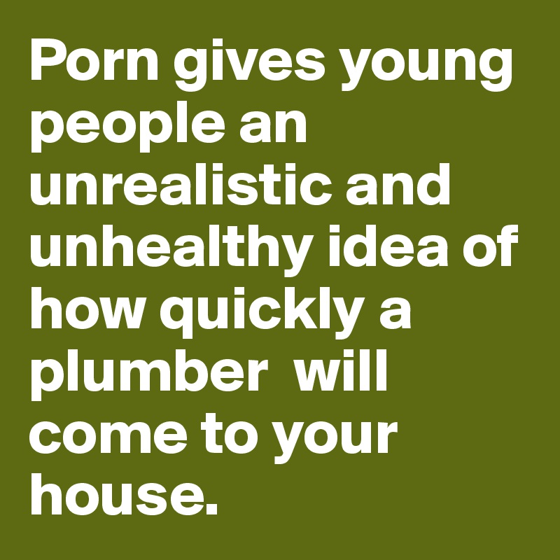 Porn gives young people an unrealistic and unhealthy idea of how quickly a plumber  will come to your house.