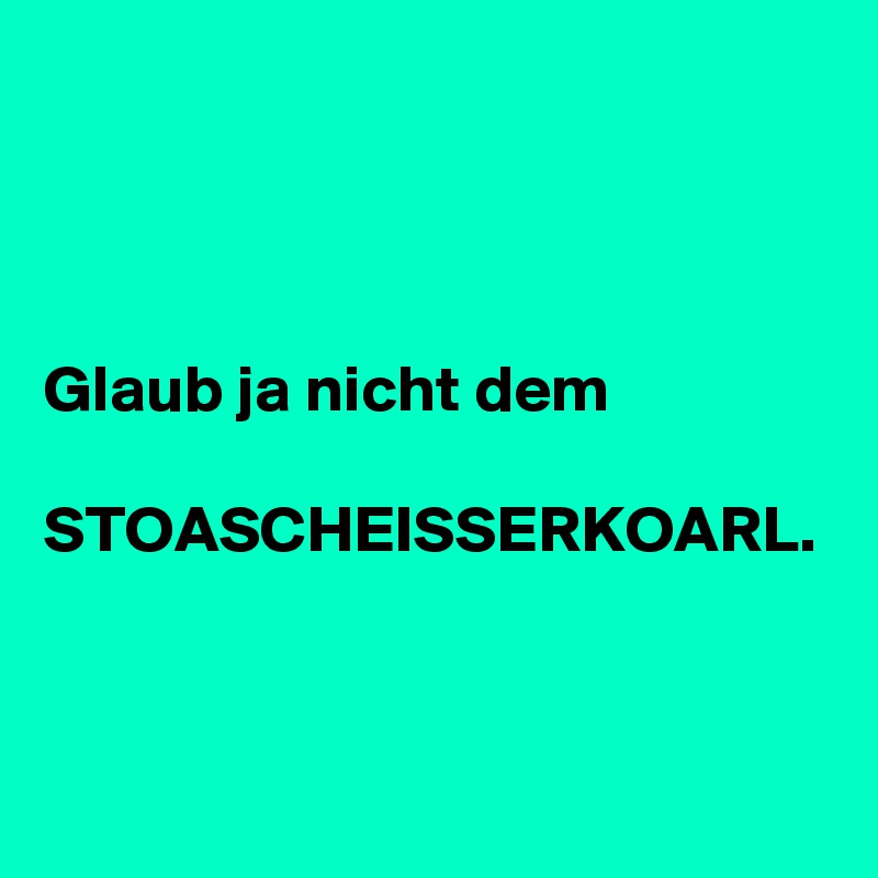 Glaub ja nicht dem
 STOASCHEISSERKOARL.