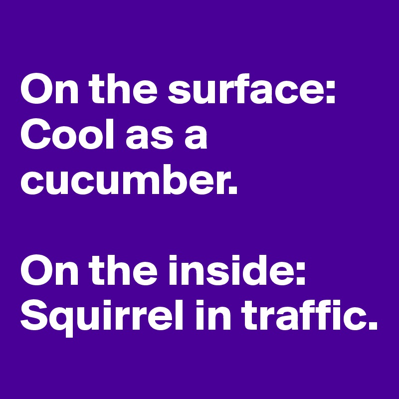 
On the surface: Cool as a cucumber. 

On the inside: Squirrel in traffic. 