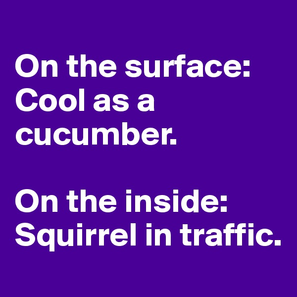 
On the surface: Cool as a cucumber. 

On the inside: Squirrel in traffic. 