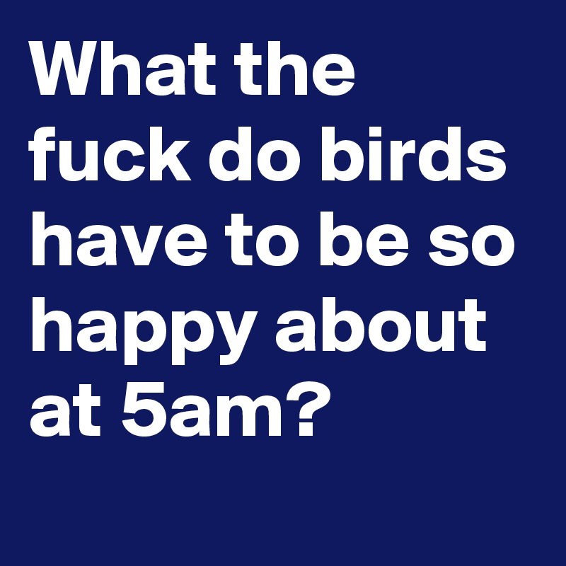 What the fuck do birds have to be so happy about at 5am?