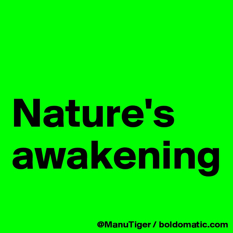 

Nature's awakening