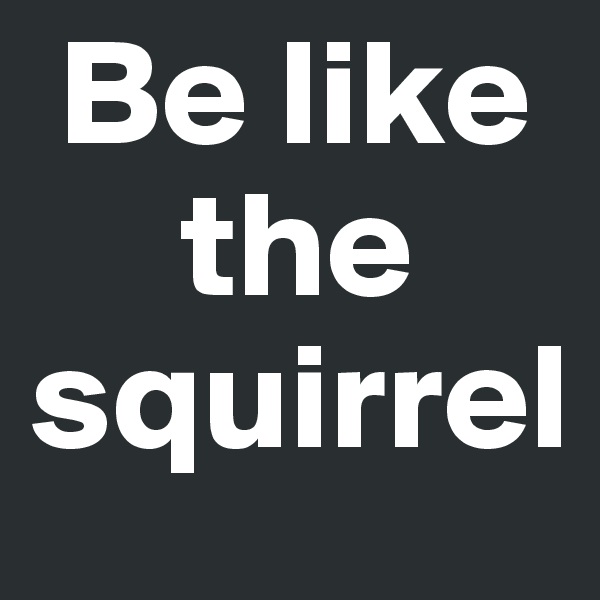  Be like
     the  
squirrel