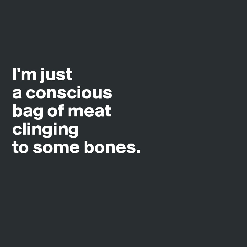 


I'm just 
a conscious 
bag of meat 
clinging 
to some bones.  



