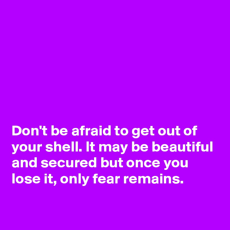 






Don't be afraid to get out of your shell. It may be beautiful and secured but once you lose it, only fear remains.
