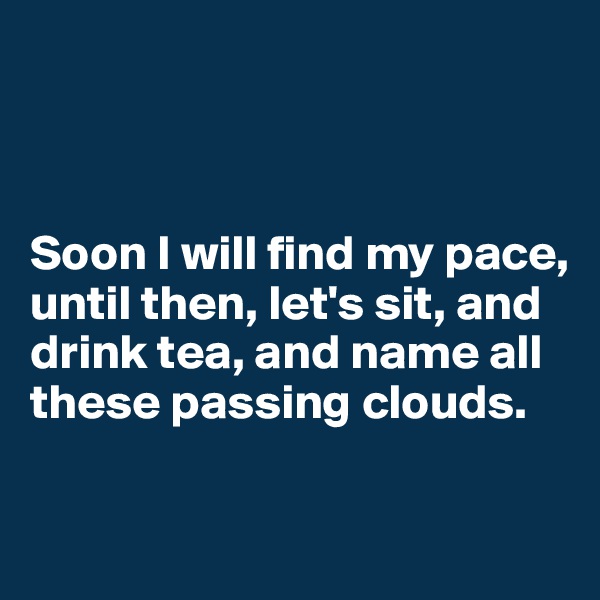 



Soon I will find my pace,
until then, let's sit, and
drink tea, and name all these passing clouds.

