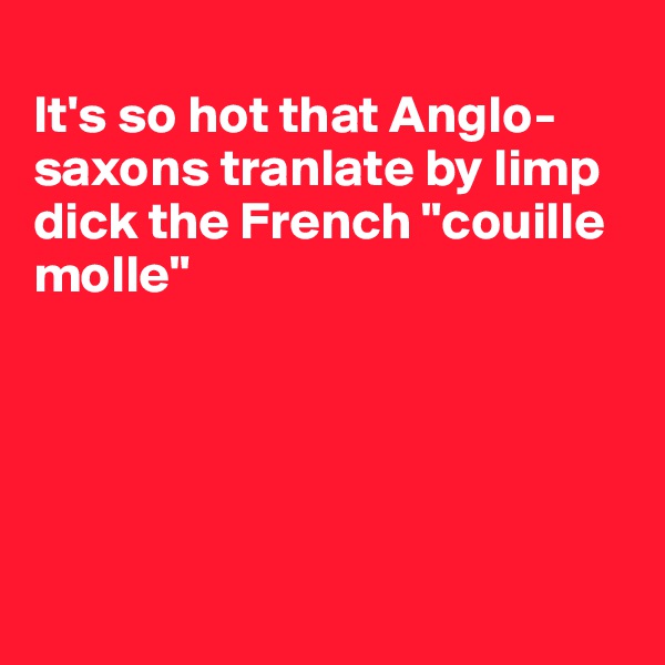 
It's so hot that Anglo-saxons tranlate by limp dick the French "couille molle"





