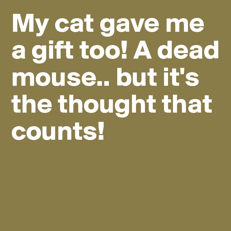 My cat gave me a gift too! A dead mouse.. but it's the thought that counts!

