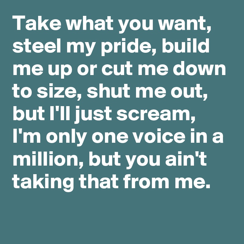 Take what you want, steel my pride, build me up or cut me down to size, shut me out, but I'll just scream, I'm only one voice in a million, but you ain't taking that from me.
