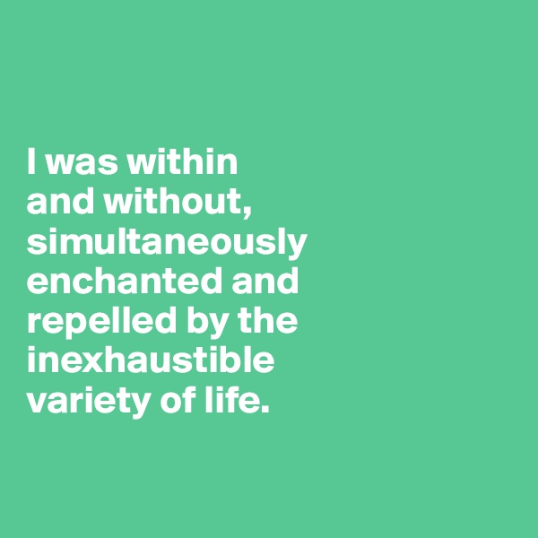 


I was within
and without, 
simultaneously enchanted and 
repelled by the
inexhaustible 
variety of life.

