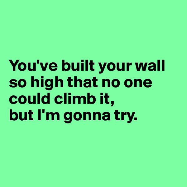 


You've built your wall so high that no one could climb it,
but I'm gonna try.


