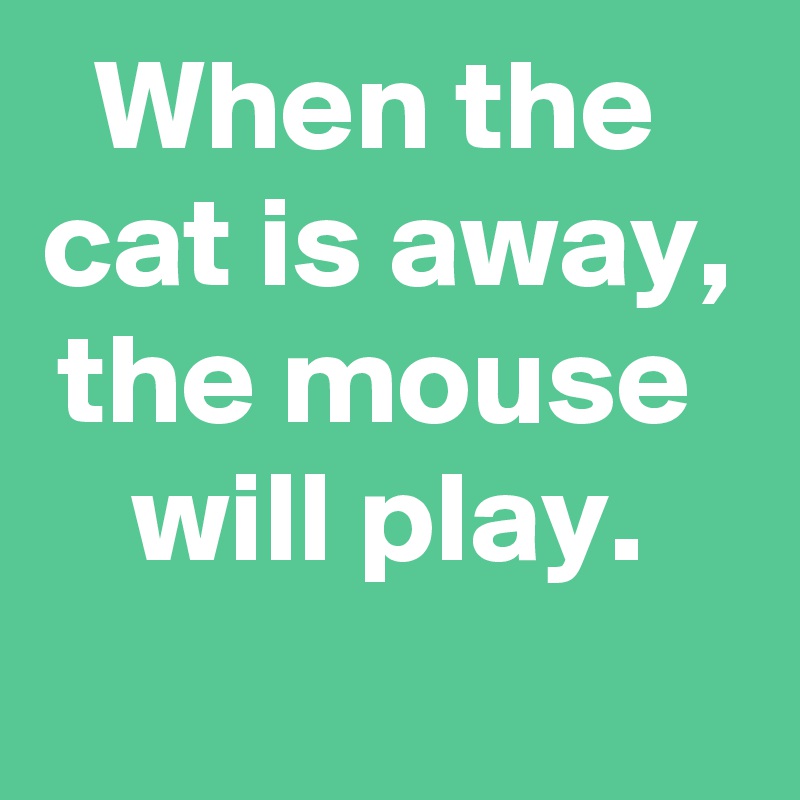 When the 
cat is away,
the mouse 
will play.
