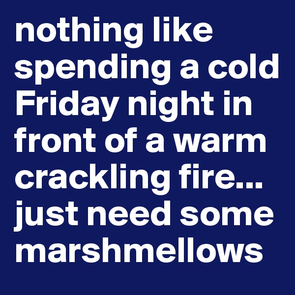 nothing like spending a cold Friday night in front of a warm crackling fire... 
just need some marshmellows