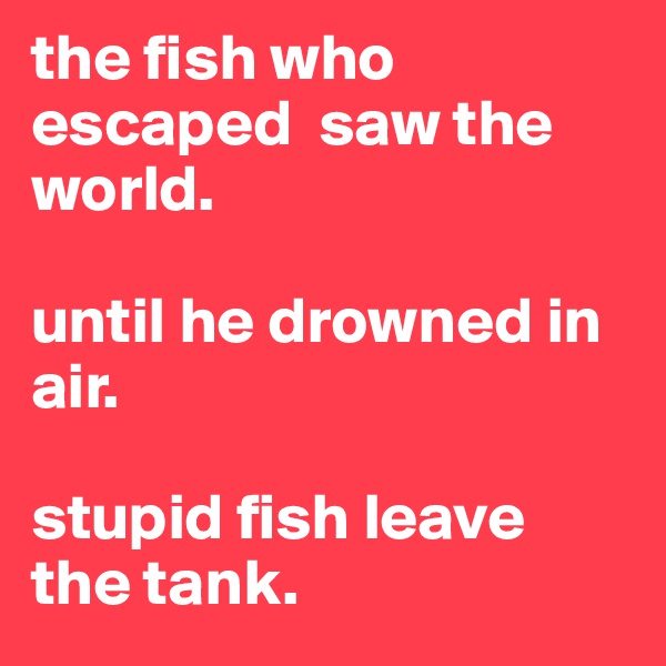 the fish who escaped  saw the world.

until he drowned in air.

stupid fish leave the tank.