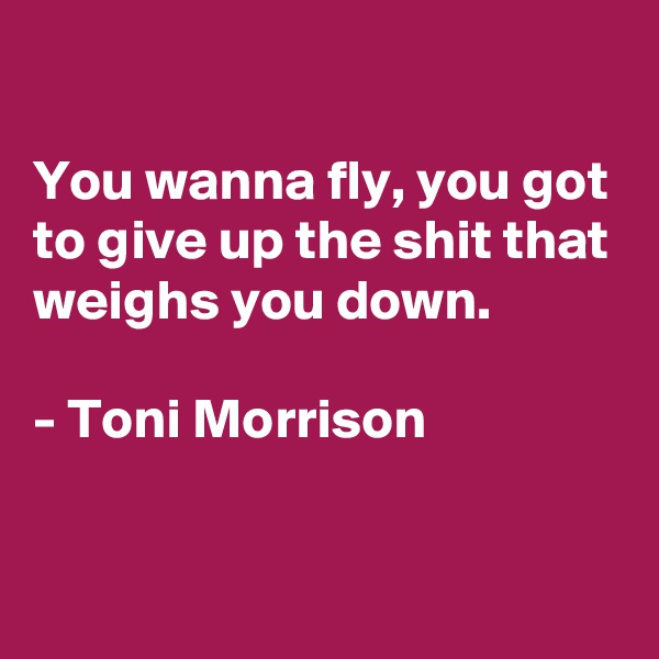 

You wanna fly, you got to give up the shit that weighs you down.
 
- Toni Morrison

