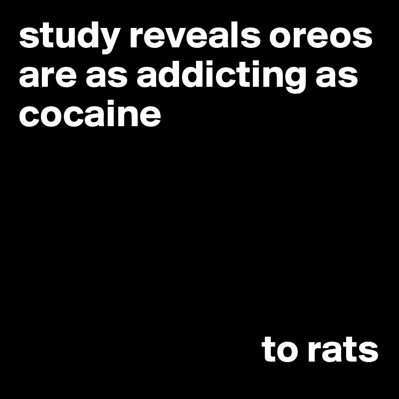 study reveals oreos are as addicting as cocaine 





                               to rats