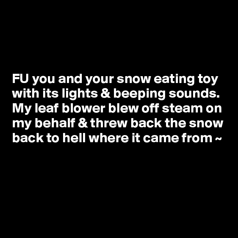 



FU you and your snow eating toy with its lights & beeping sounds. My leaf blower blew off steam on my behalf & threw back the snow back to hell where it came from ~




