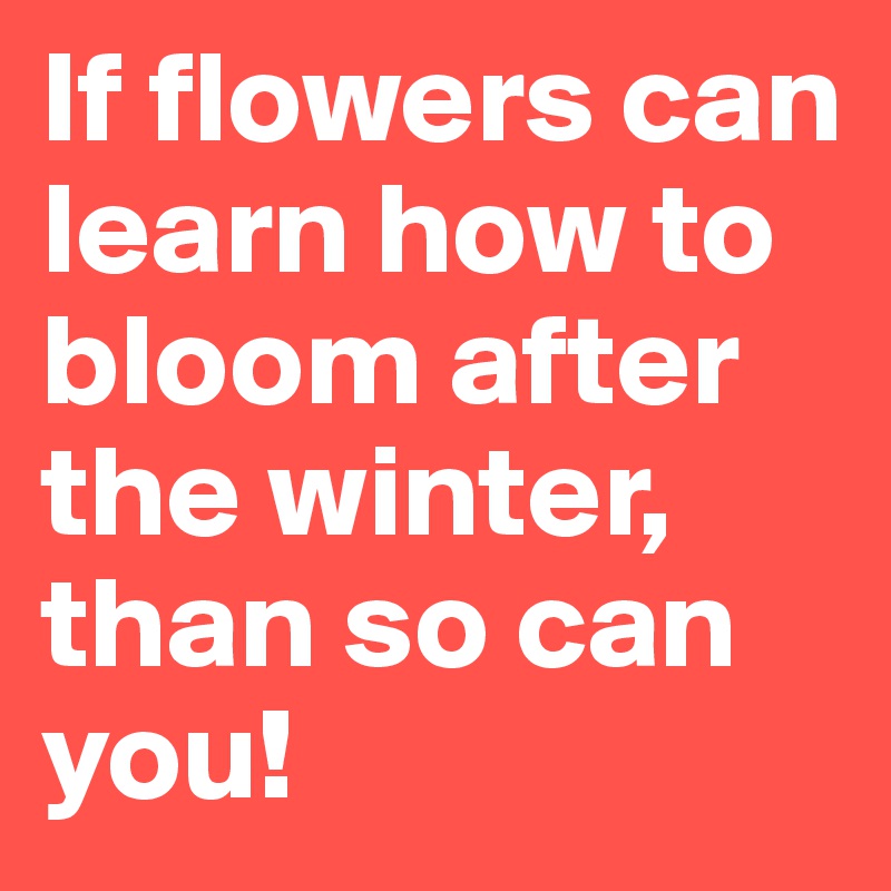 If flowers can learn how to bloom after the winter, than so can you!