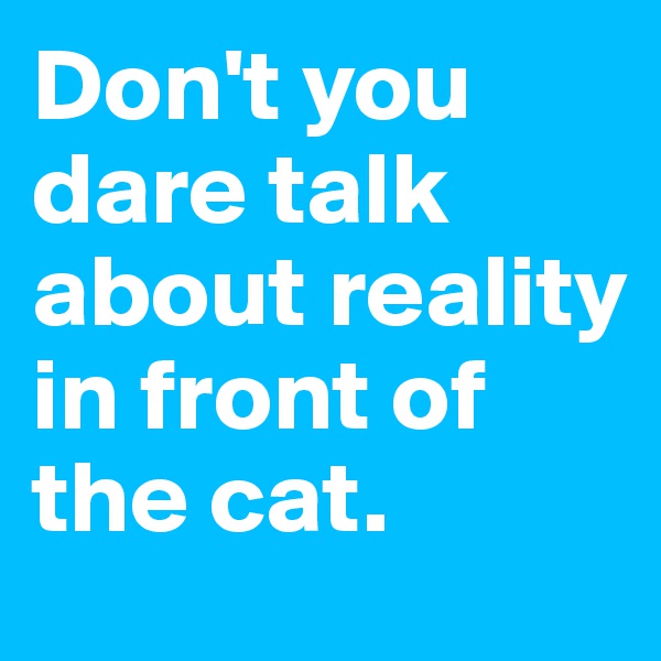 Don't you dare talk about reality in front of the cat.