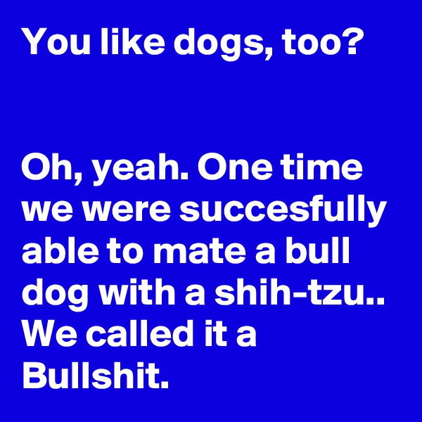 You like dogs, too?


Oh, yeah. One time we were succesfully able to mate a bull dog with a shih-tzu.. We called it a Bullshit.