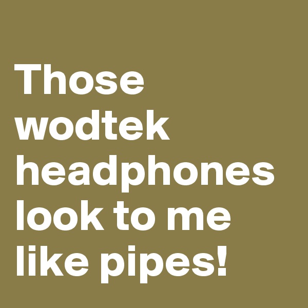 
Those wodtek headphones look to me like pipes!