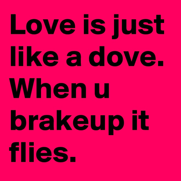 Love is just like a dove. When u brakeup it flies.