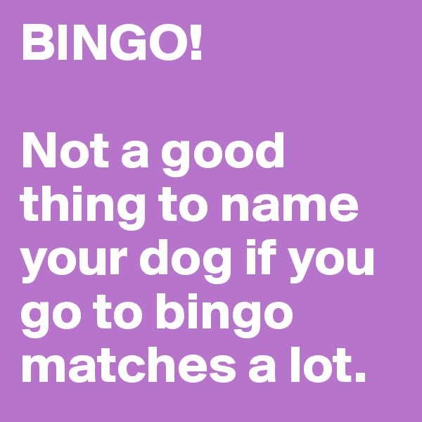 BINGO!

Not a good thing to name your dog if you go to bingo matches a lot.