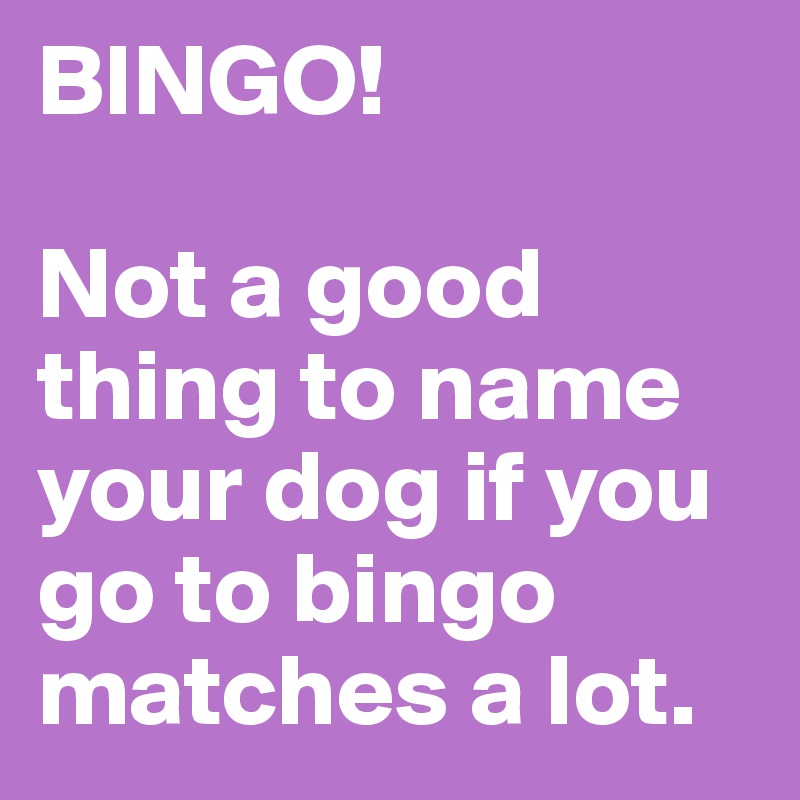 BINGO!

Not a good thing to name your dog if you go to bingo matches a lot.